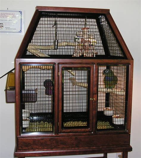 large bird cage for parakeets|unique parakeet cages.